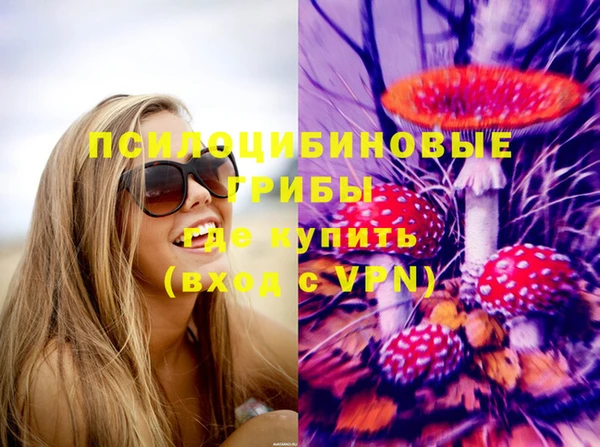 apvp Михайлов