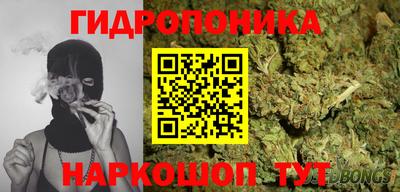 крисы Балаково