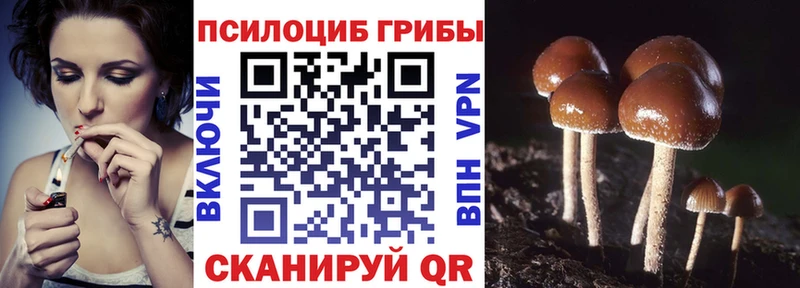 Псилоцибиновые грибы GOLDEN TEACHER  Ипатово 