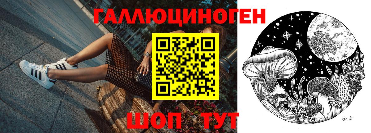 как найти   Вход с VPN  Ипатово  Псилоцибиновые грибы мицелий 