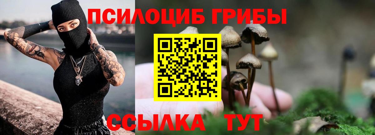 Галлюциногенные грибы мицелий Ипатово