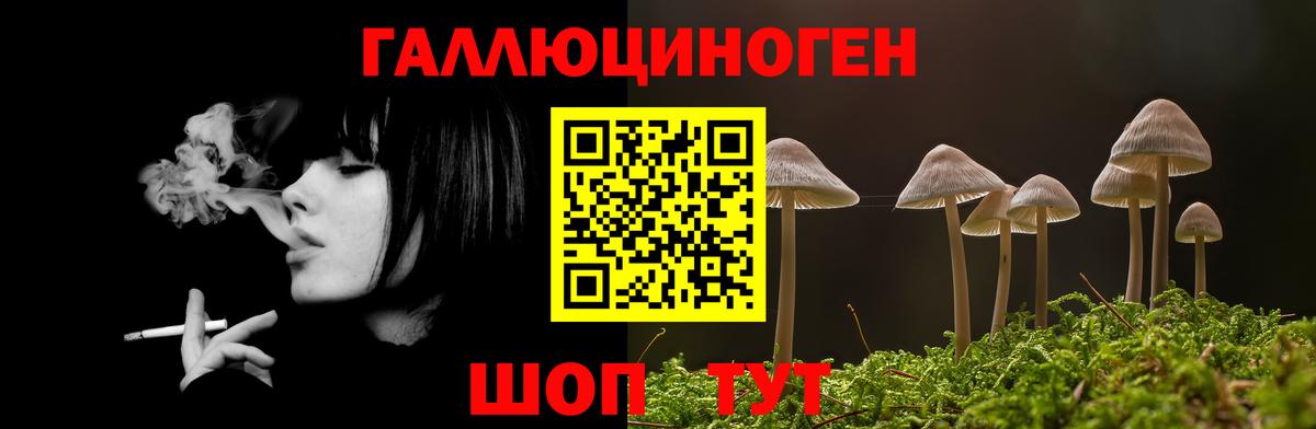 Псилоцибиновые грибы GOLDEN TEACHER  Ипатово  Псилоцибиновые грибы GOLDEN TEACHER 